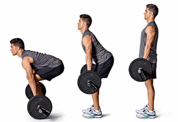 top 5 barbell exercises
